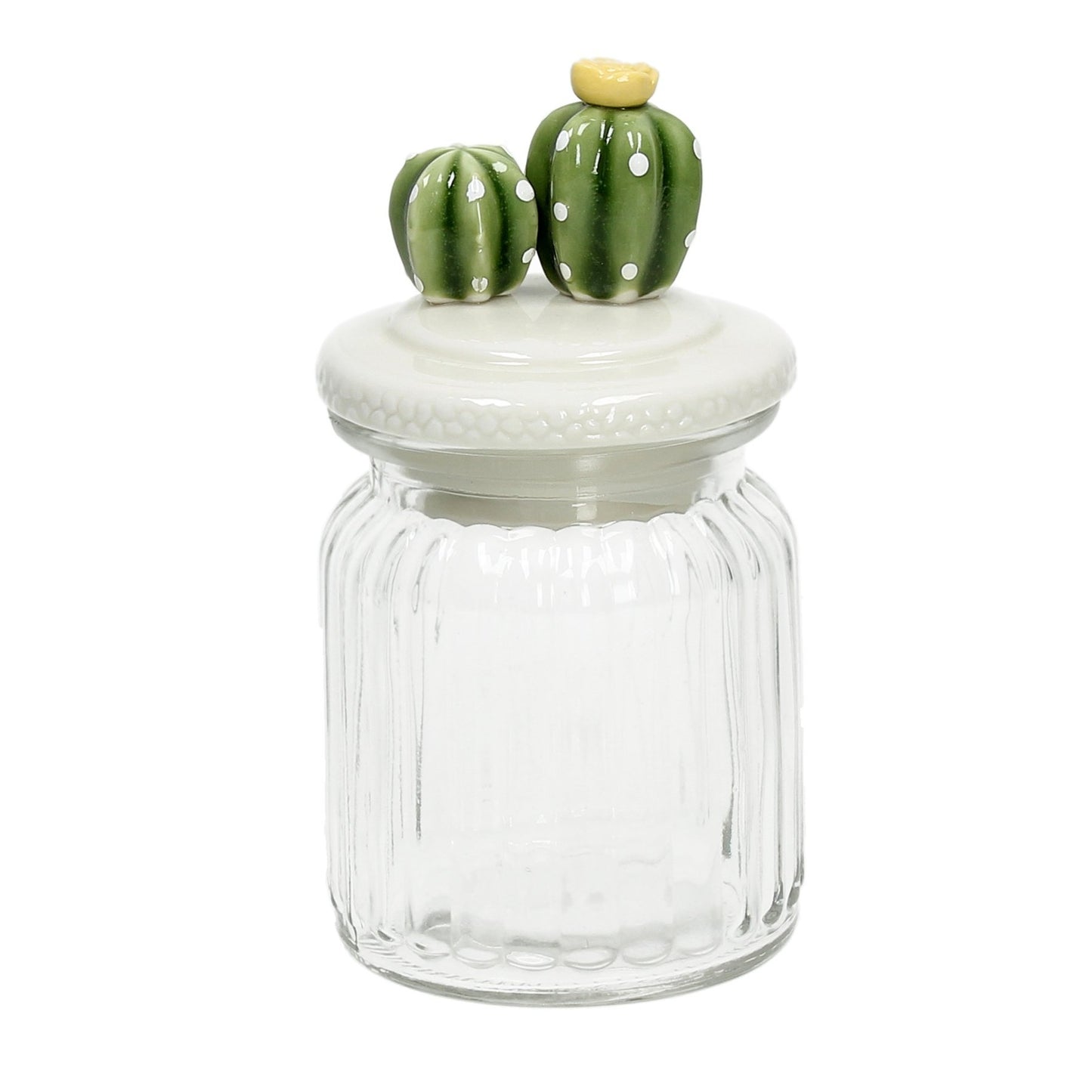 Vorratsdose Kaktus, zwei Modelle, 8x15 cm, transparent - Porzellan aus Italien