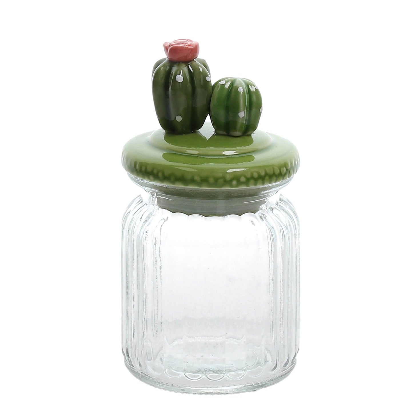 Vorratsdose Kaktus, zwei Modelle, 8x15 cm, transparent - Porzellan aus Italien